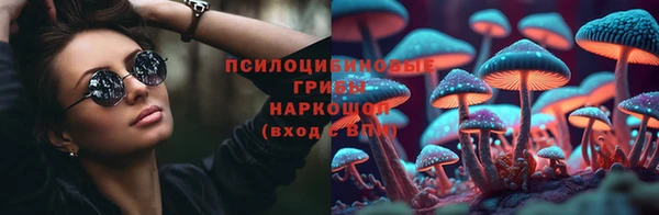 гидра Алексеевка