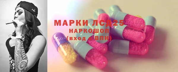 гидра Алексеевка