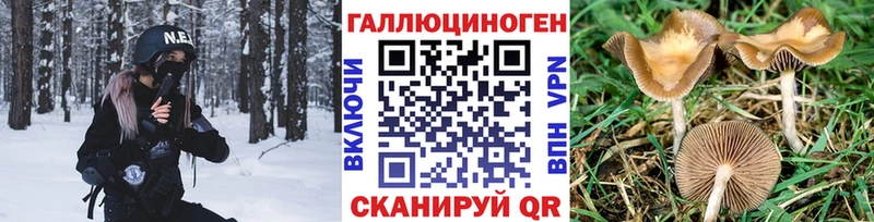 Галлюциногенные грибы Psilocybe  Еманжелинск 